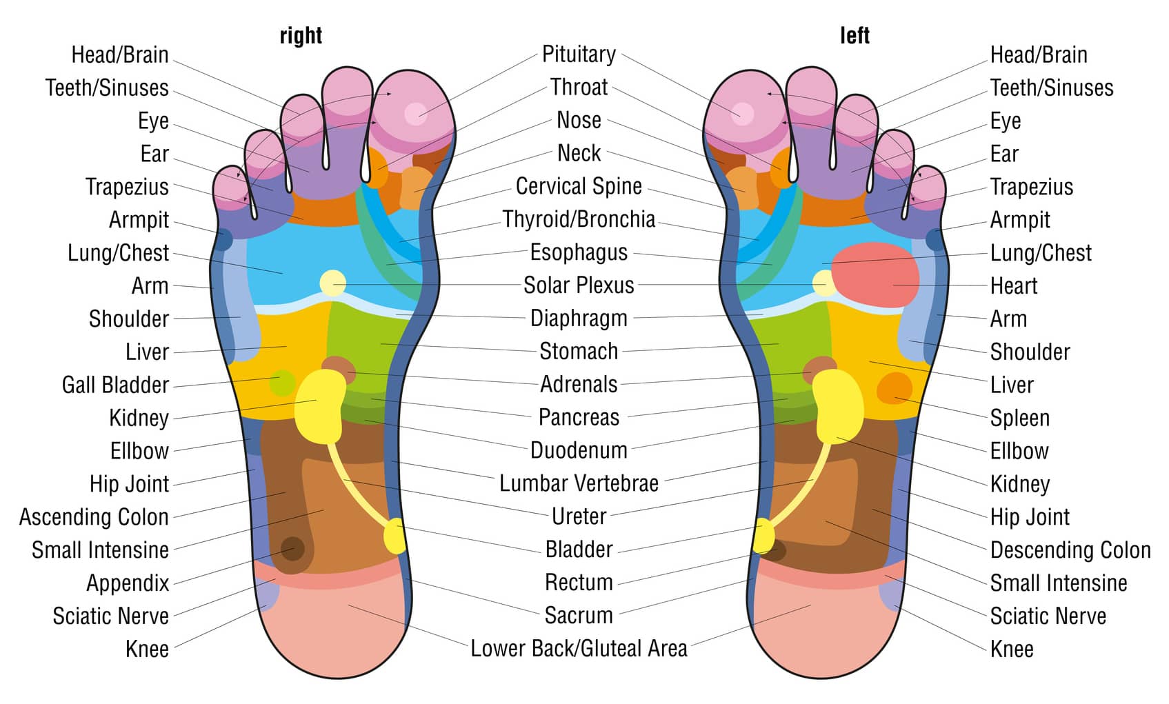 Các điểm huyệt đạo để massage chân